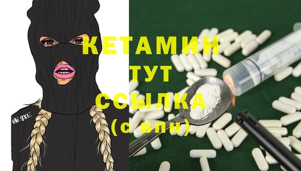 индика Надым