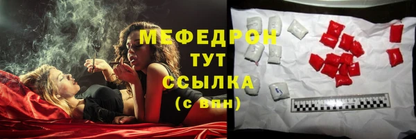 индика Надым