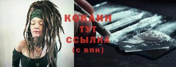 индика Надым