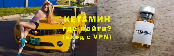 индика Надым