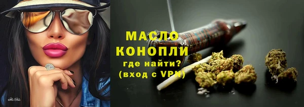 индика Надым
