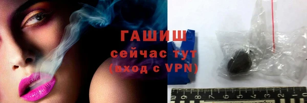 индика Надым