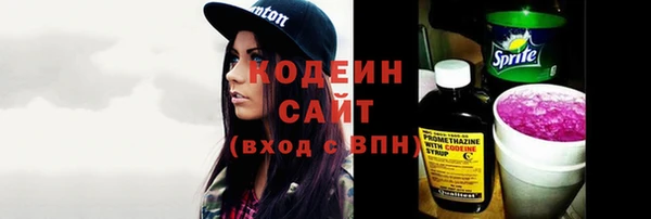 индика Надым