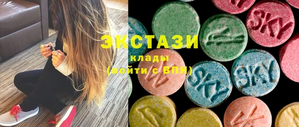 индика Надым