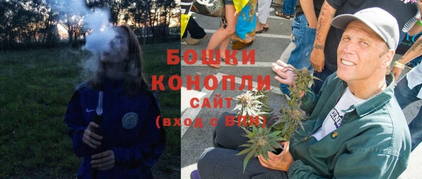 индика Надым