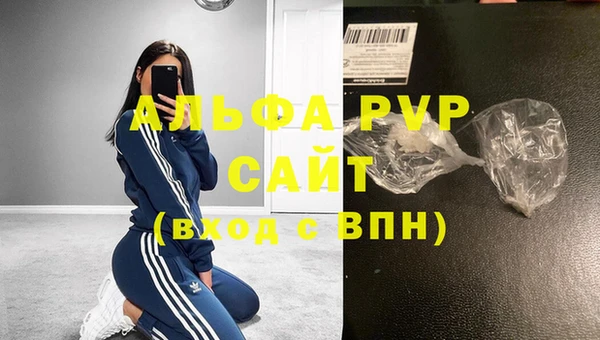 индика Надым