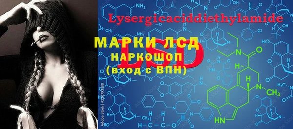 индика Надым