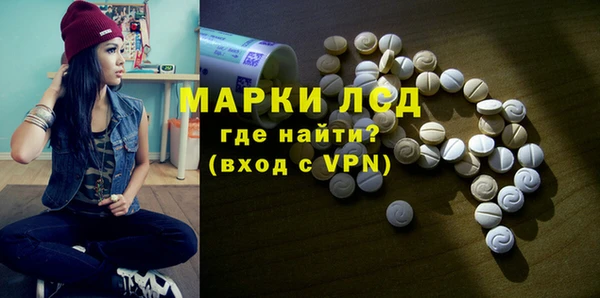 индика Надым