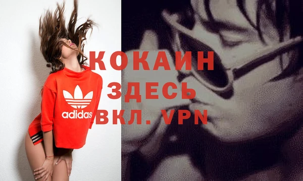 индика Надым