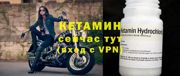 индика Надым