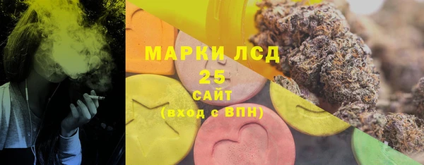 индика Надым