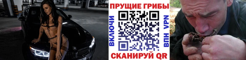 Псилоцибиновые грибы Cubensis Петропавловск-Камчатский