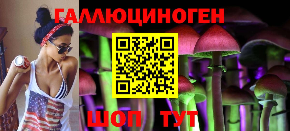 Петропавловск-Камчатский  Псилоцибиновые грибы Cubensis  Вход с VPN 