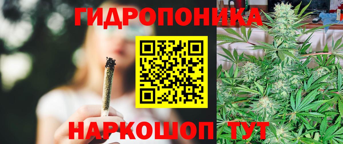 Канабис семена  Бошки марихуана MAZAR  Вход с VPN  Бошки Шишки ГИДРОПОН  Петропавловск-Камчатский 